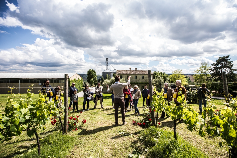 `Azienda Azienda Agraria Guerrieri - Tour Aziendali